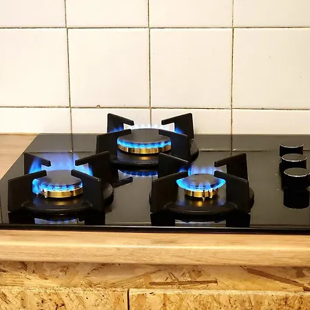 Lägenhet Zen Rustic & Private Backyard Center Toulouse