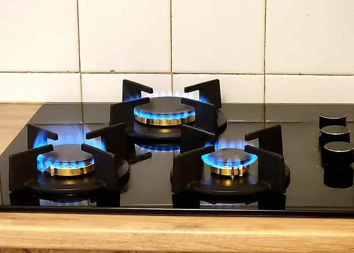 Apartment Zen Rustic & Private Backyard Center Toulouse